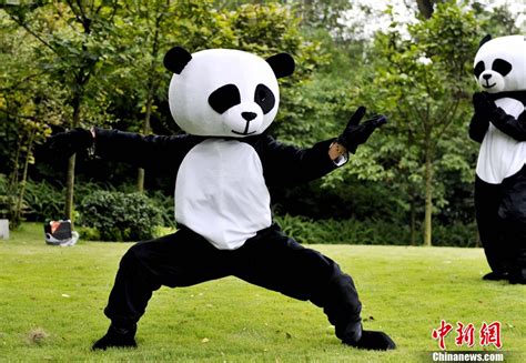 Tai Chi Panda Bodog